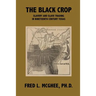 The Black Crop: Slavery and Slave Trading in Nineteenth Century Texas