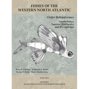 Order Beloniformes: Needlefishes, Sauries, Halfbeaks, and Flyingfishes: Part 10