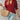 6129599f-1b87-4b70-acbe-9d843f0e26e9-Max
