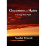 Guardians of Hydia - Facing the Past