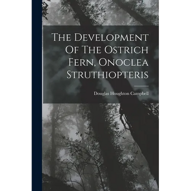 The Development Of The Ostrich Fern, Onoclea Struthiopteris