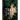 Thorn Jack: A Night and Nothing Novel