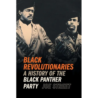 Black Revolutionaries: A History of the Black Panther Party