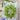 Oversized Mixed Foliage Twig Wreath 30"D