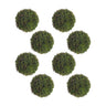 Boxwood Sedum Orb (Set of 8)