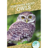 Fun Facts about Owls