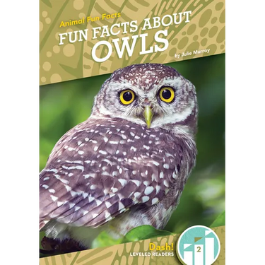 Fun Facts about Owls