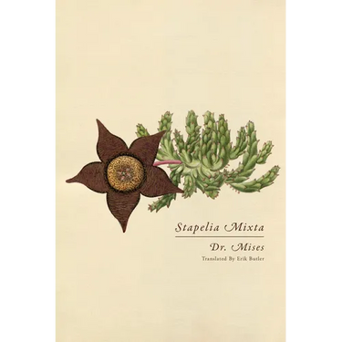 Stapelia Mixta