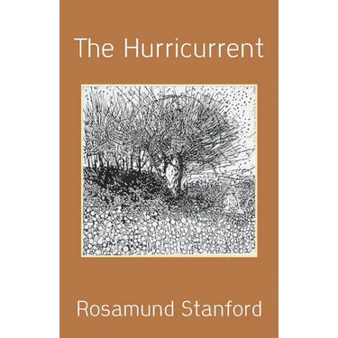 The Hurricurrent