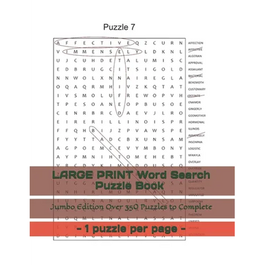 LARGE PRINT Word Search Puzzle Book - 1 puzzle per page - Jumbo Edition Over 350 Puzzles to Complete