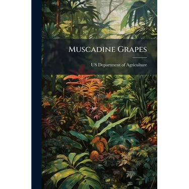 Muscadine Grapes