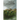A Wolf by the Ears