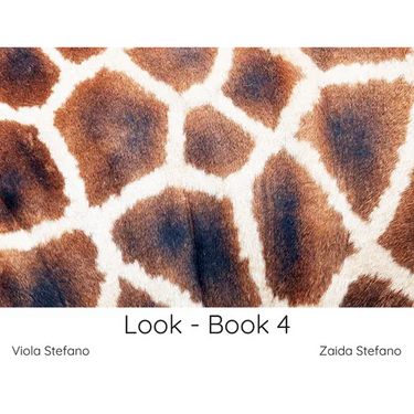 Look - Book 4