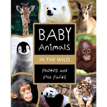 Baby Animals in the Wild: Photos and Fun Facts