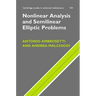 Nonlinear Analysis and Semilinear Elliptic Problems
