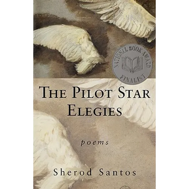 The Pilot Star Elegies: Poems