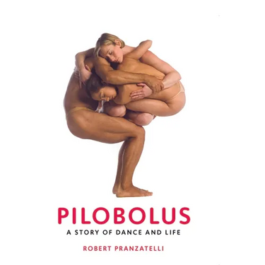 Pilobolus: A Story of Dance and Life