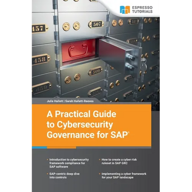 A Practical Guide to Cybersecurity Governance for SAP