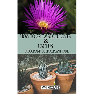 How to Grow Succulents and Cactus: Indoor and Outdoor Plant care