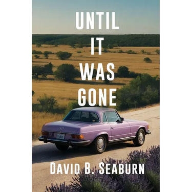 Until It Was Gone: A Contemporary Family Novel of Resilience and Hope