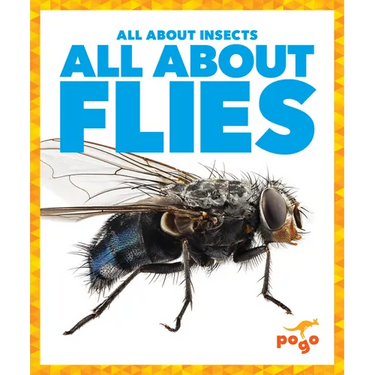 All about Flies