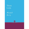Think Little: Essays