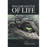 Rollercoaster of Life