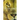 The Lion's Eye: Seeing in the Wild