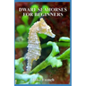 Dwarf Seahorses For Beginners