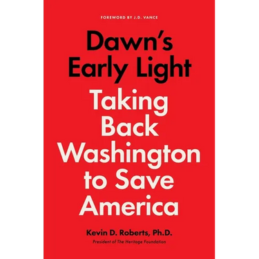 Dawn's Early Light: Taking Back Washington to Save America