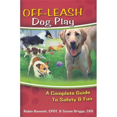 Off-Leash Dog Play: A Complete Guide to Safety and Fun