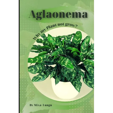 Aglaonema: Why my Plant not grow? problems and their solutions