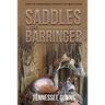 Saddles of Barringer