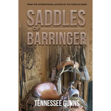 Saddles of Barringer