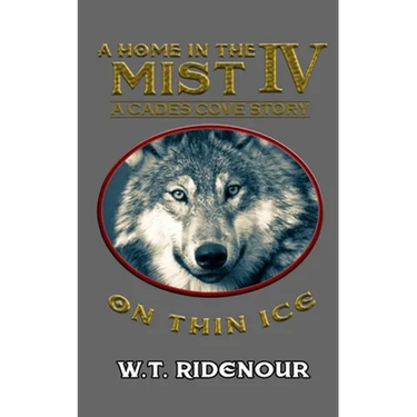 A Home in The Mist IV: On Thin Ice