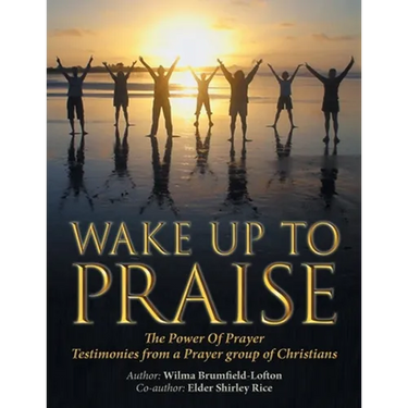 Wake up to Praise: The Power of Prayer Testimonies from a Prayer Group of Christians