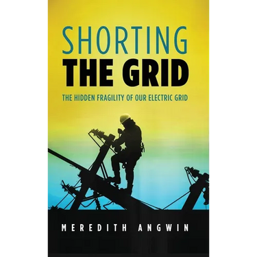 Shorting the Grid: The Hidden Fragility of Our Electric Grid