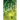 Dimmed Lights