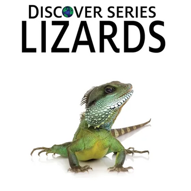 Lizards