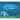 Cassandra and the Night Sky