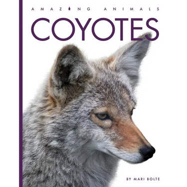 Coyotes