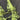 6b221ece-3dab-49f4-87ba-06df138e3ad4-Max