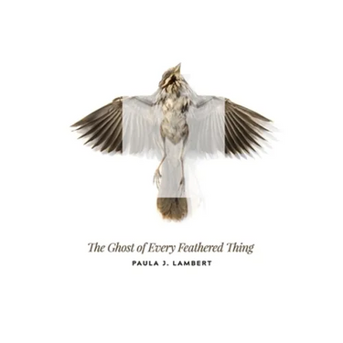 The Ghost of Every Feathered Thing