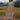 6d38d5b2-d65a-49c6-9aee-f1994c7a7c4d-Max