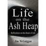 Life On the Ash heap: Reflections On the Book of Job