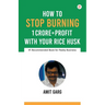 How to Stop Burning 1 Crore+Profit with Your Rice Husk