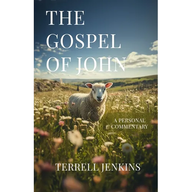 The Gospel of John: A Personal Commentary