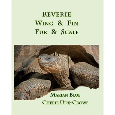 Reverie Wing & Fin Fur & Scale