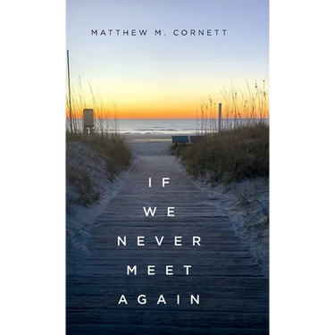 If We Never Meet Again
