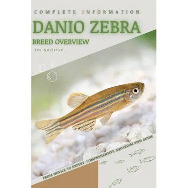 Danio Zebra: From Novice to Expert. Comprehensive Aquarium Fish Guide